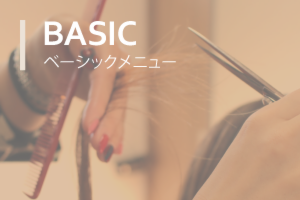 ベーシックメニュー