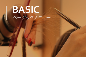 ベーシックメニュー