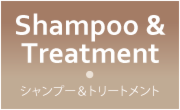 シャンプー&トリートメント