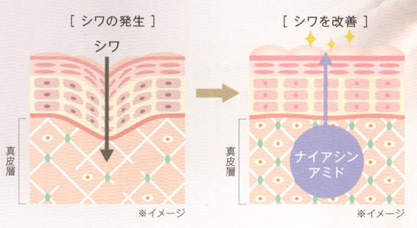 富士市美容室ショコラがおすすめする美顔器一体型アイクリーム・ルリーク ムービングリンクルケアクリームのシワ改善メカニズム